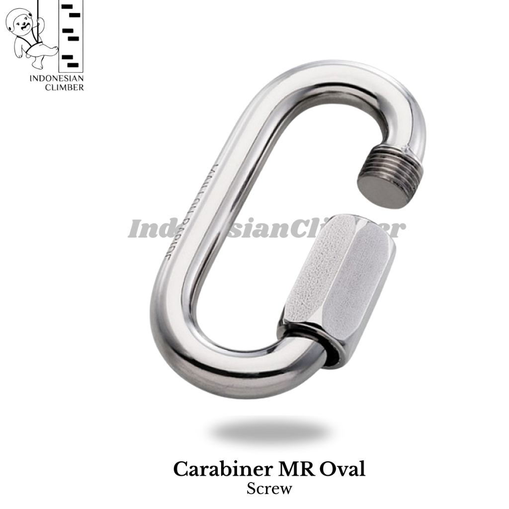 Carabiner Mailon Rapide Quiklink M10 Safety Climbing Caving Outdoor