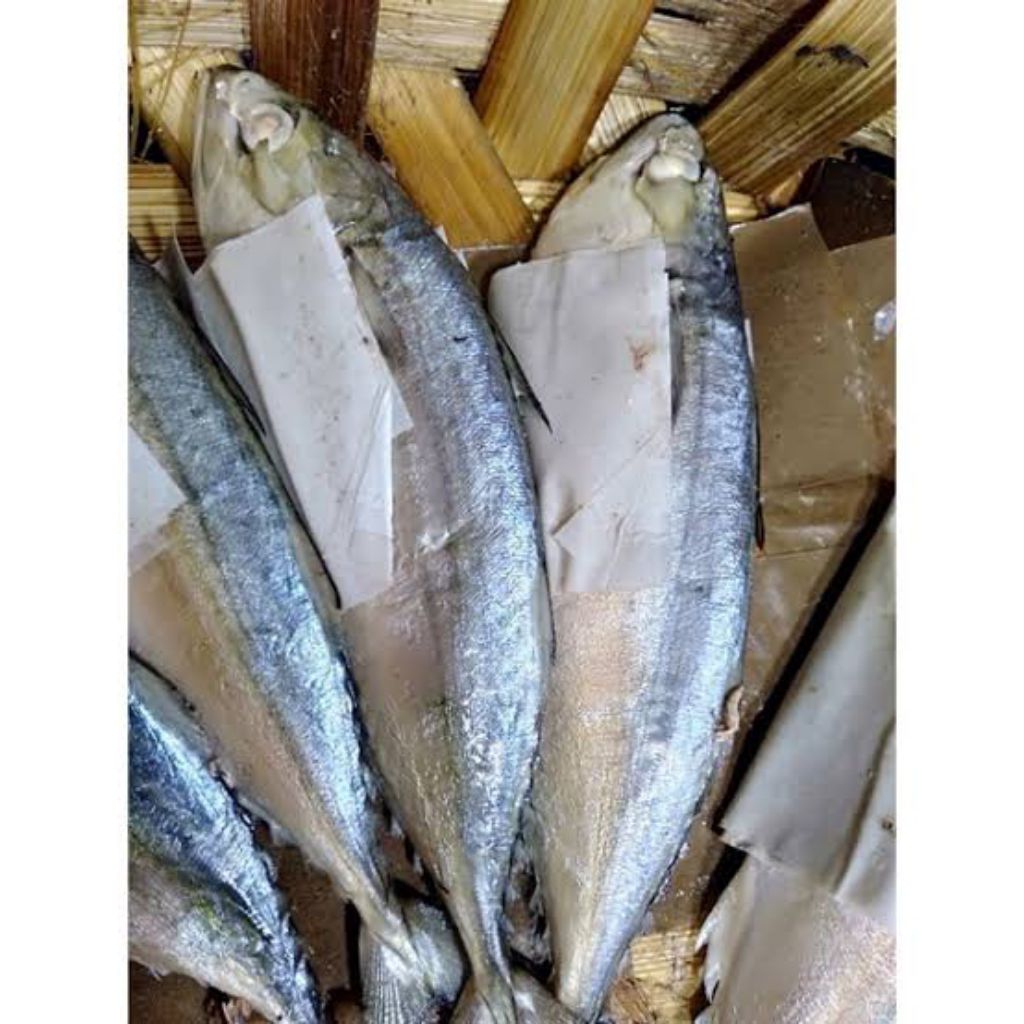 

Ikan Kembung Rebus / Gembung Rebus 1 ekor