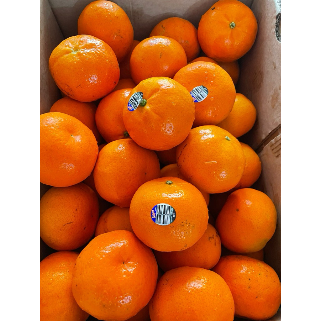 

jeruk murcott australia