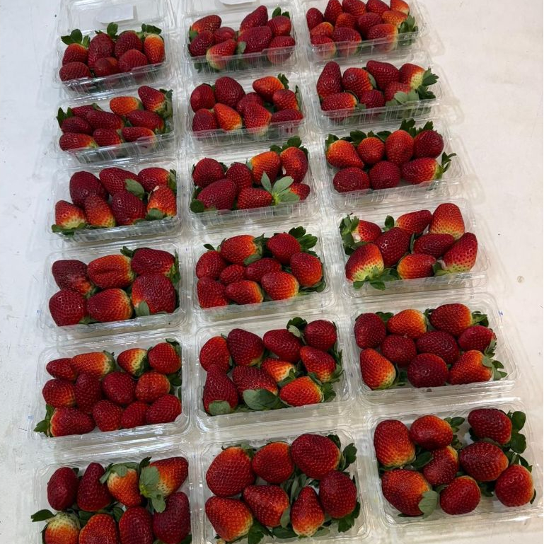 

Stawberry Import Australia 1 Pack 250 Grm