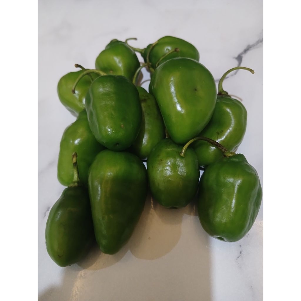 

cabai gendot hijau super segar 100-500gram