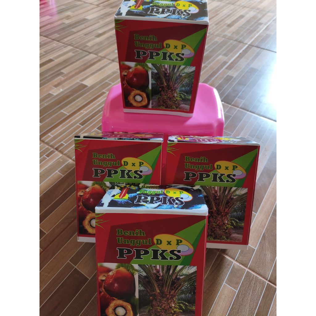 biji benih kecambah sawit PPKS unggul - siap tanam paket 250 butir