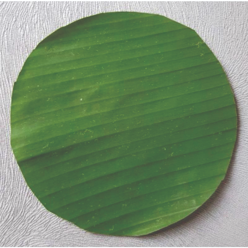 

DAUN PISANG BULAT SEGAR 50 LEMBAR SIAP PAKAI UKURAN 15 CM UNTUK ALAS NASI DAN OLAHAN MAKANAN