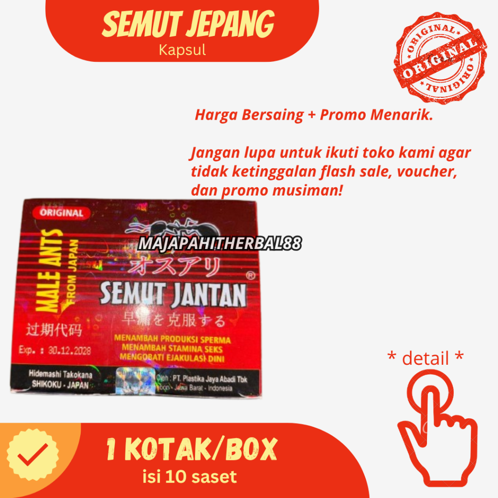 SEMUT JEPANG JANTAN