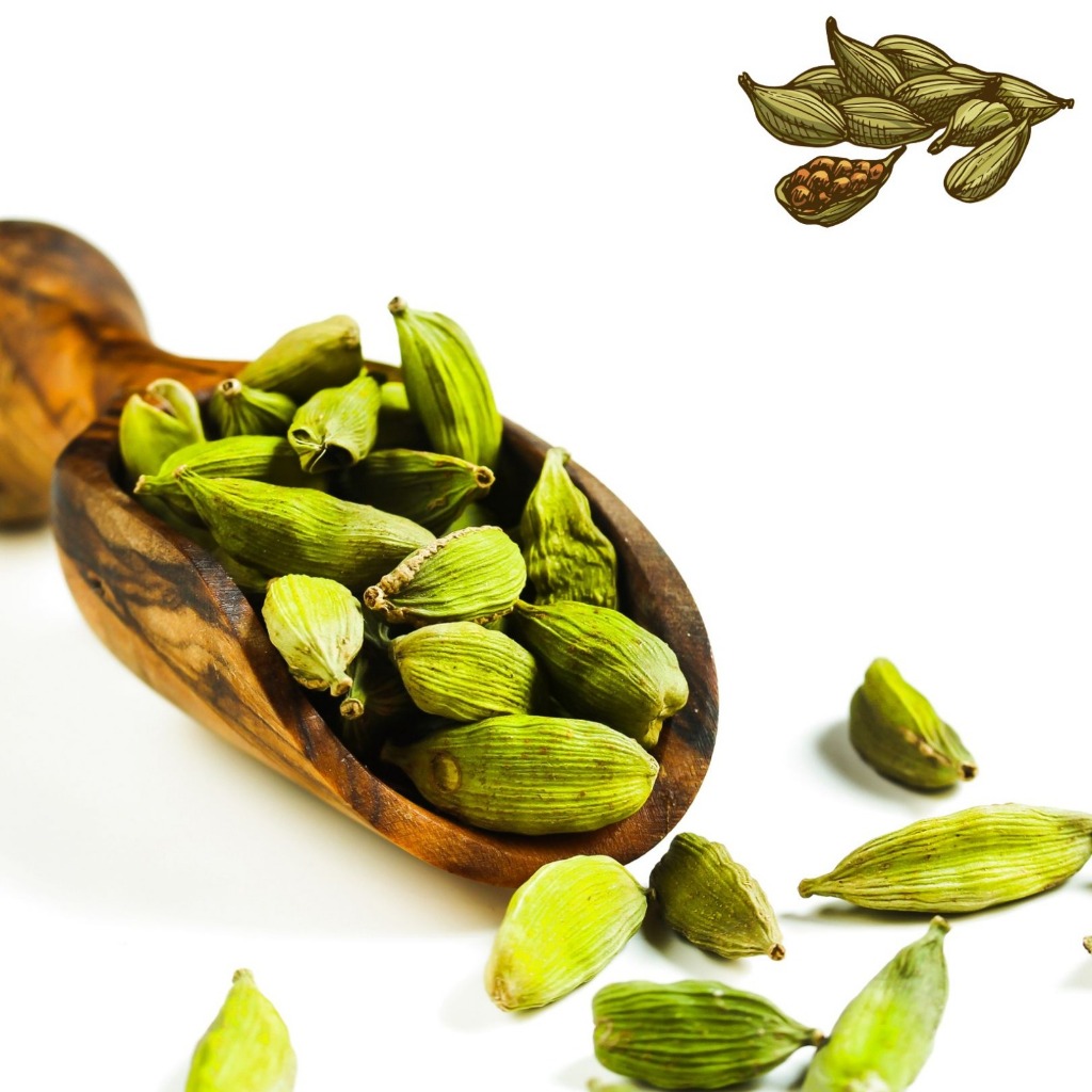 

Kapulaga Hijau Wangi / Green Cardamom Elaichi / Rempah Arab Kapolaga India Untuk Nasi Biryani Teh Kue Premium