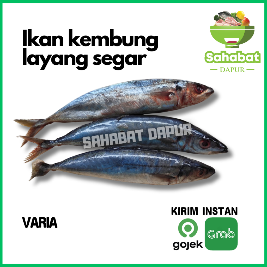 

Ikan Kembung Layang Segar - Sahabatdapur