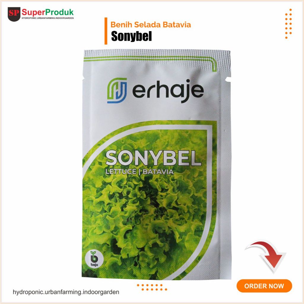 Benih Selada Batavia - Benih Selada Sonybel - Selada Bejo 1 gram