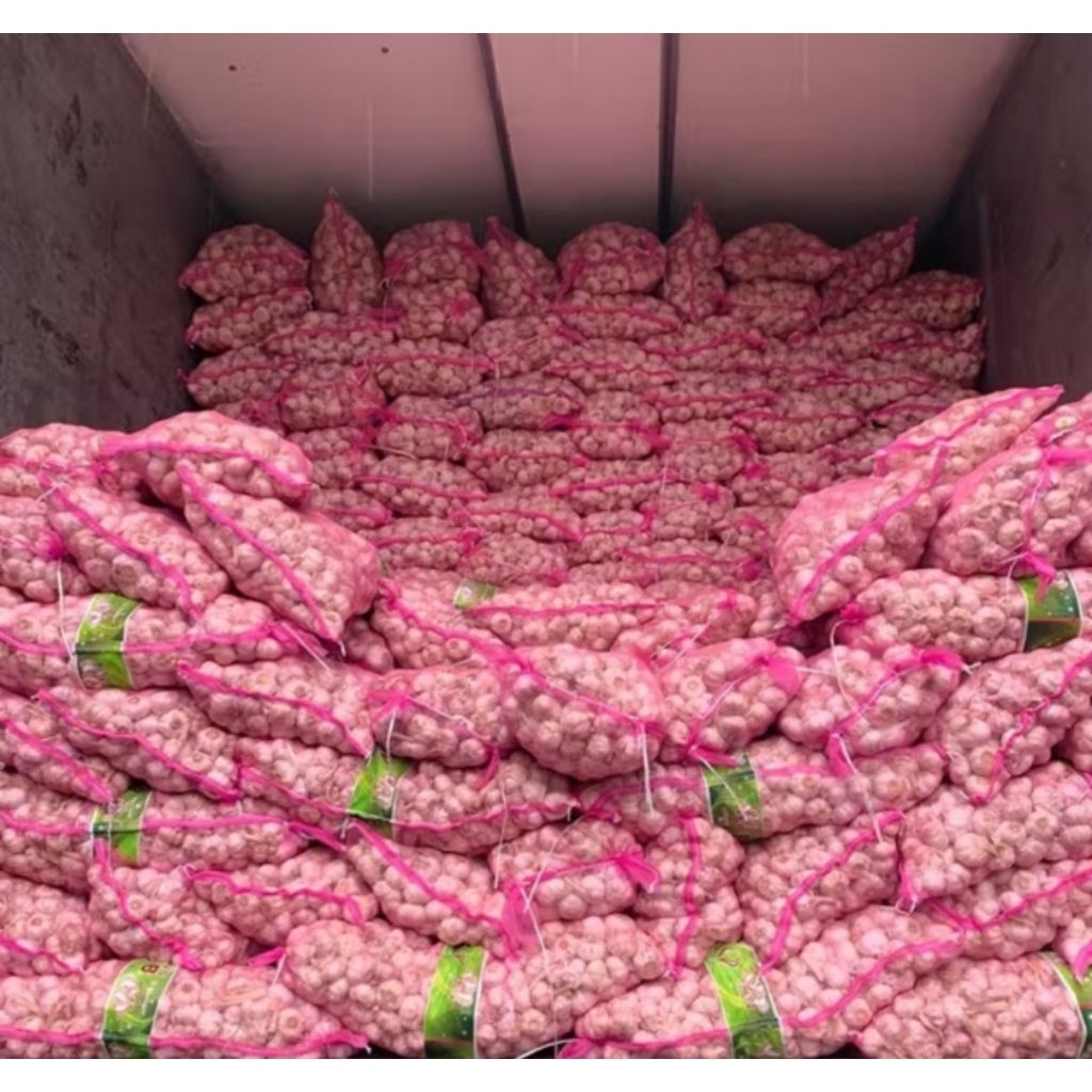 

BAWANG PUTIH BIASA 500 gram