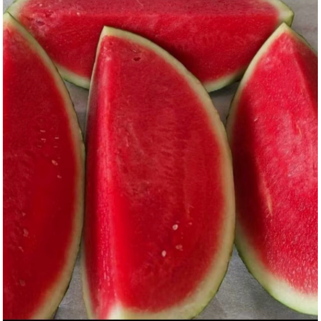 

semangka non biji 1 kg fresh