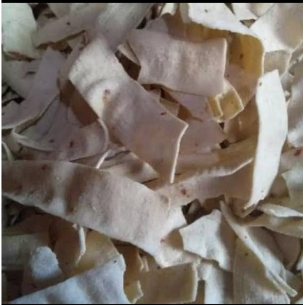 

Krupuk Slondok Mentah Putih Pedas Manis 1kg