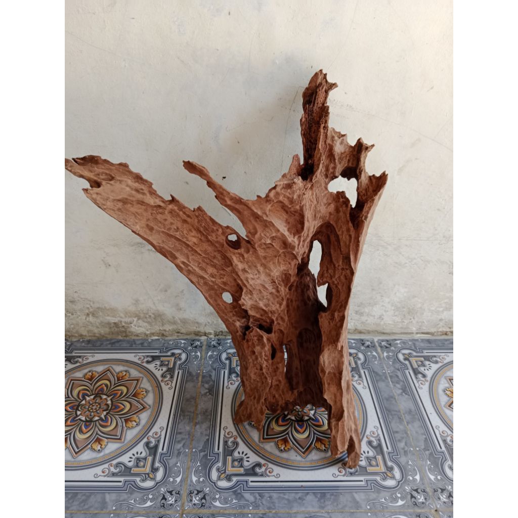 RENTEK ATAU POSIL KAYU MALA BERKUALITAS  UKURAN BESAR. UNIK ALAMI DAN BERKARAKTER