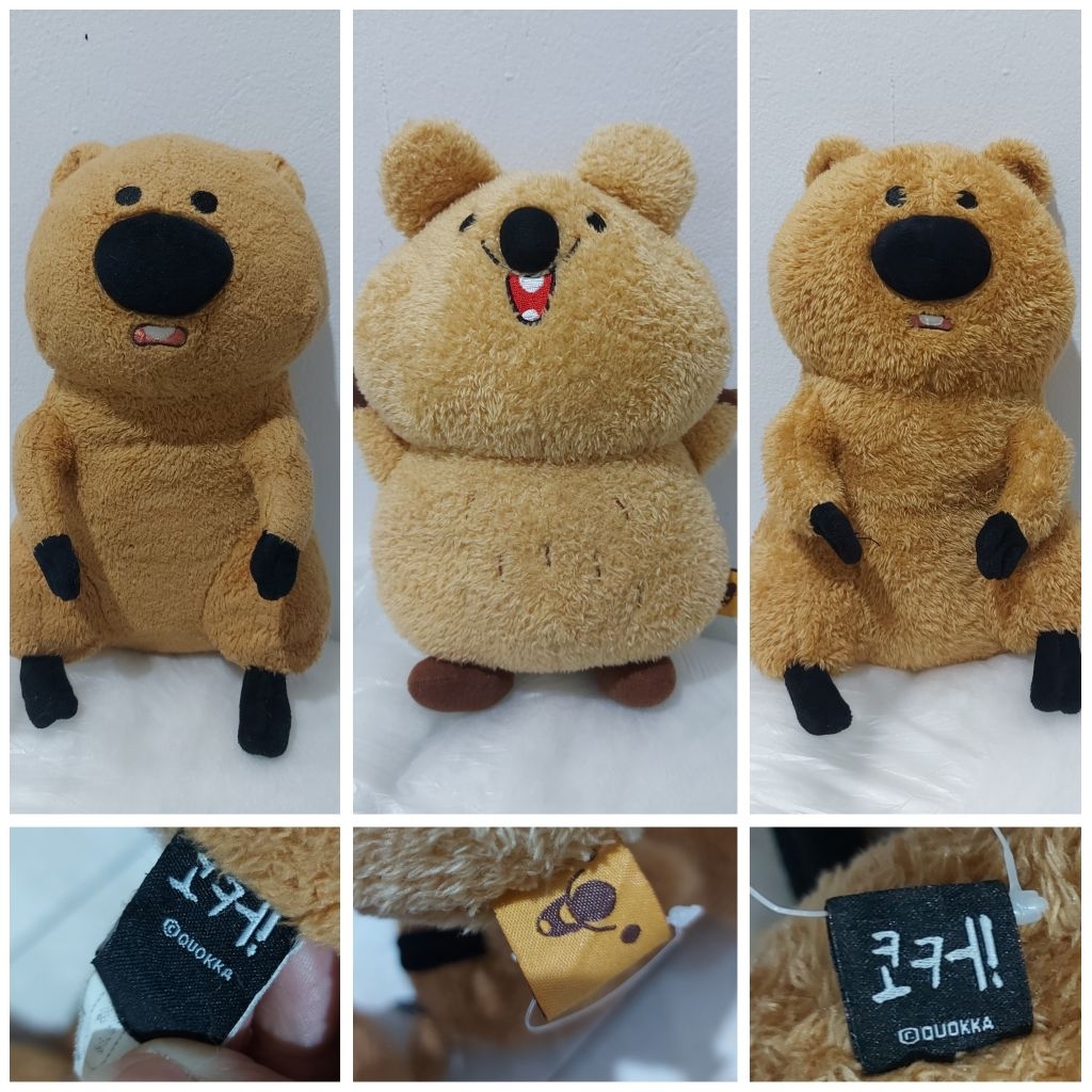 Quokka plush doll, korea doll Mr.Mu, cocomong
