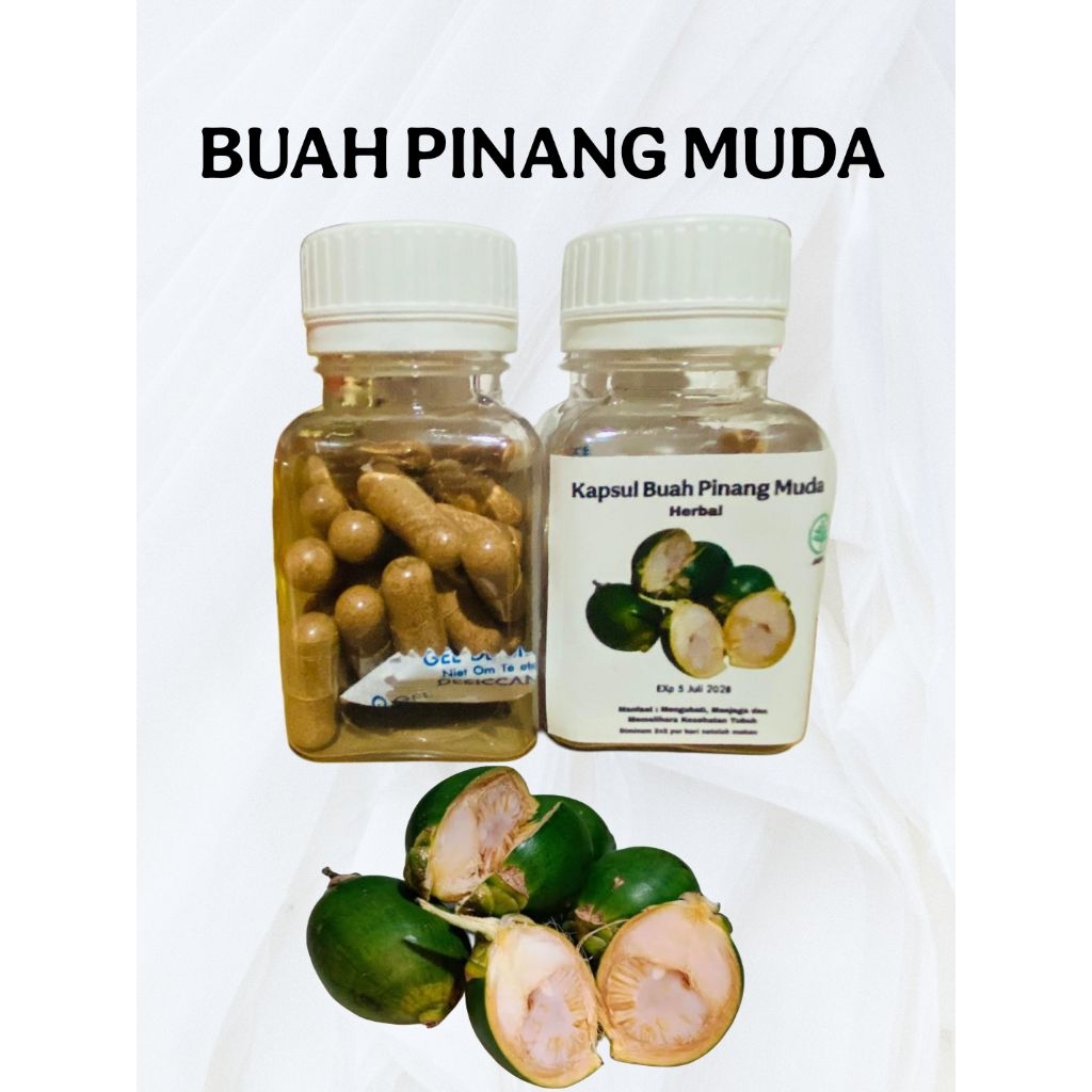 

Kapsul Buah Pinang Muda Herbal