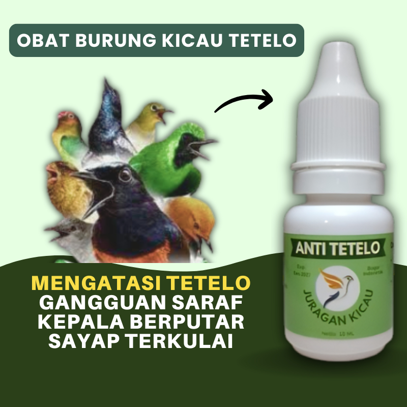 Obat Tetelo Burung Kicau Sakit Kejang Gemetar Dan Sempoyongan