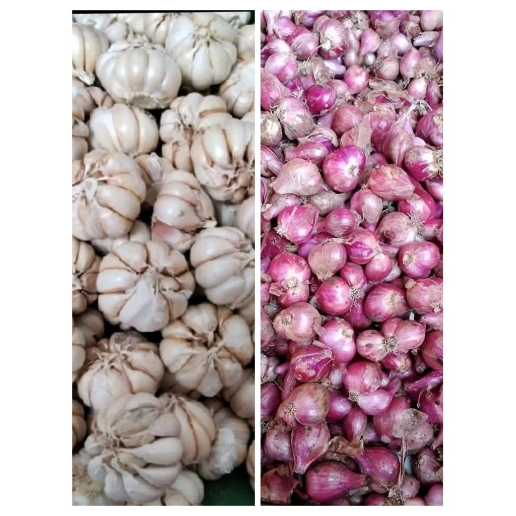 

Paket bawang Merah+putih 500g