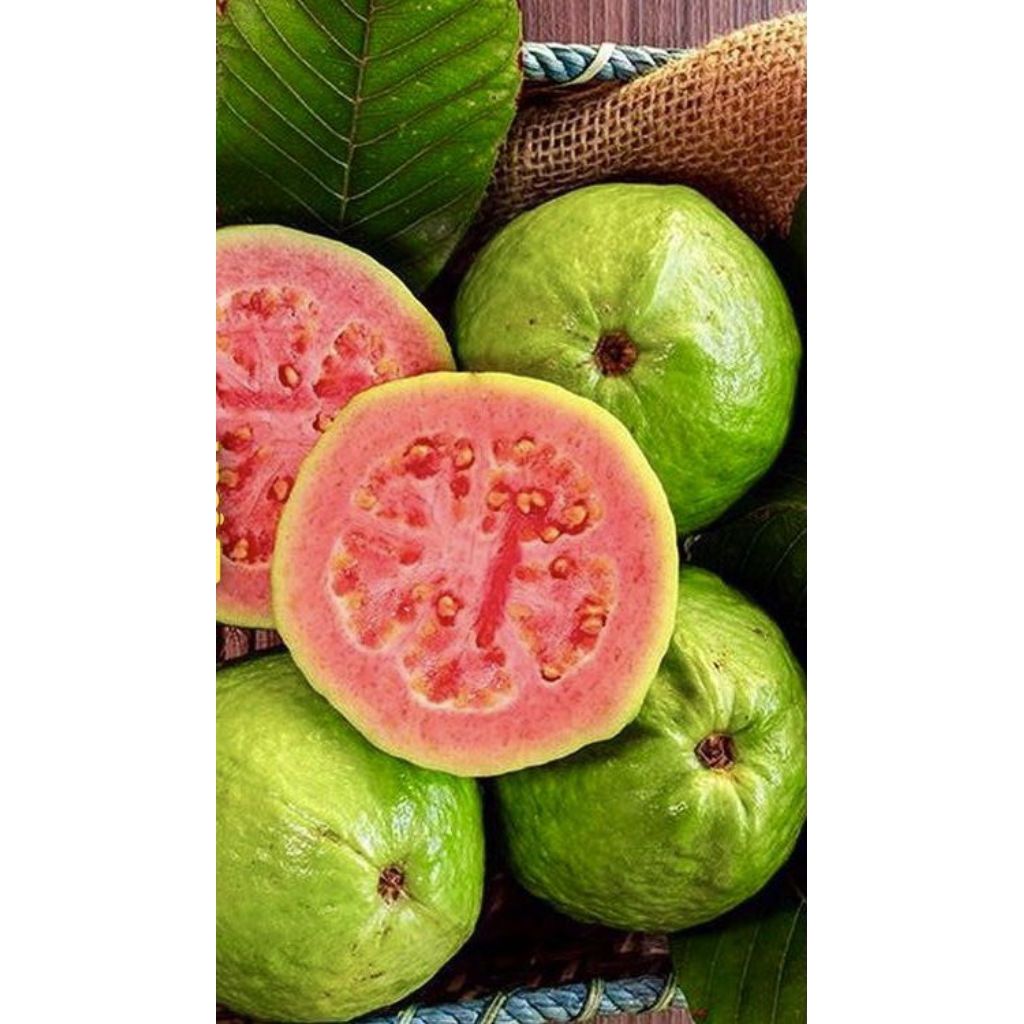 Jambu Biji MERAH /1Kg