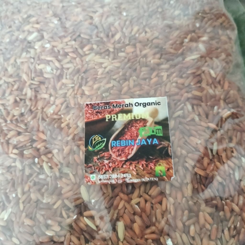 

Beras Merah Asli Delanggu termurah
