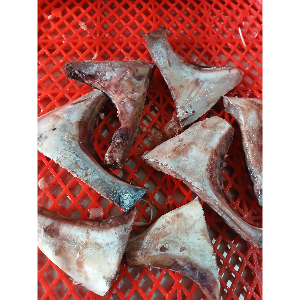 

Rahang Ikan Tuna 1kg 31,200rb/ikan tuna/rahangnya ikan tuna/seafood/ikan laut