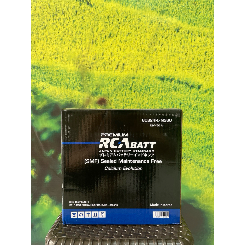 RCABatt NS60/NS60LS 50Ah