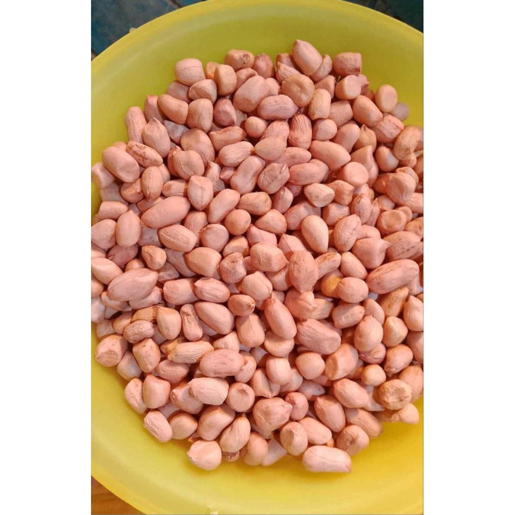 

kacang tanah madura/kacang kupas/kacang kacangan
