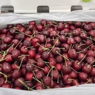 

Buah Cherry red import Canada super manis segar gift pack 250 gram