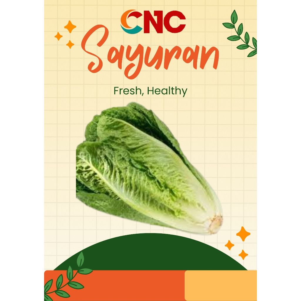 

KHUSUS INSTANT LETTUCE ROMAIN FRESH 500 GR