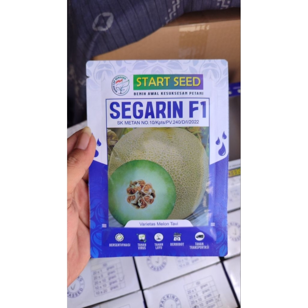 

Benih Melon Putih SEGARIN F1