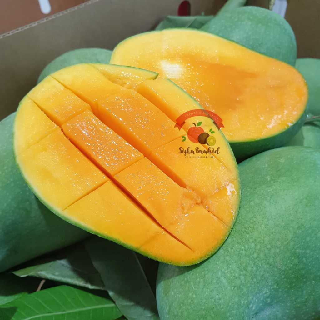 

MANGGA HARUM MANIS SUPER | BUAH MANGGA PILIHAN PETANI LOKAL