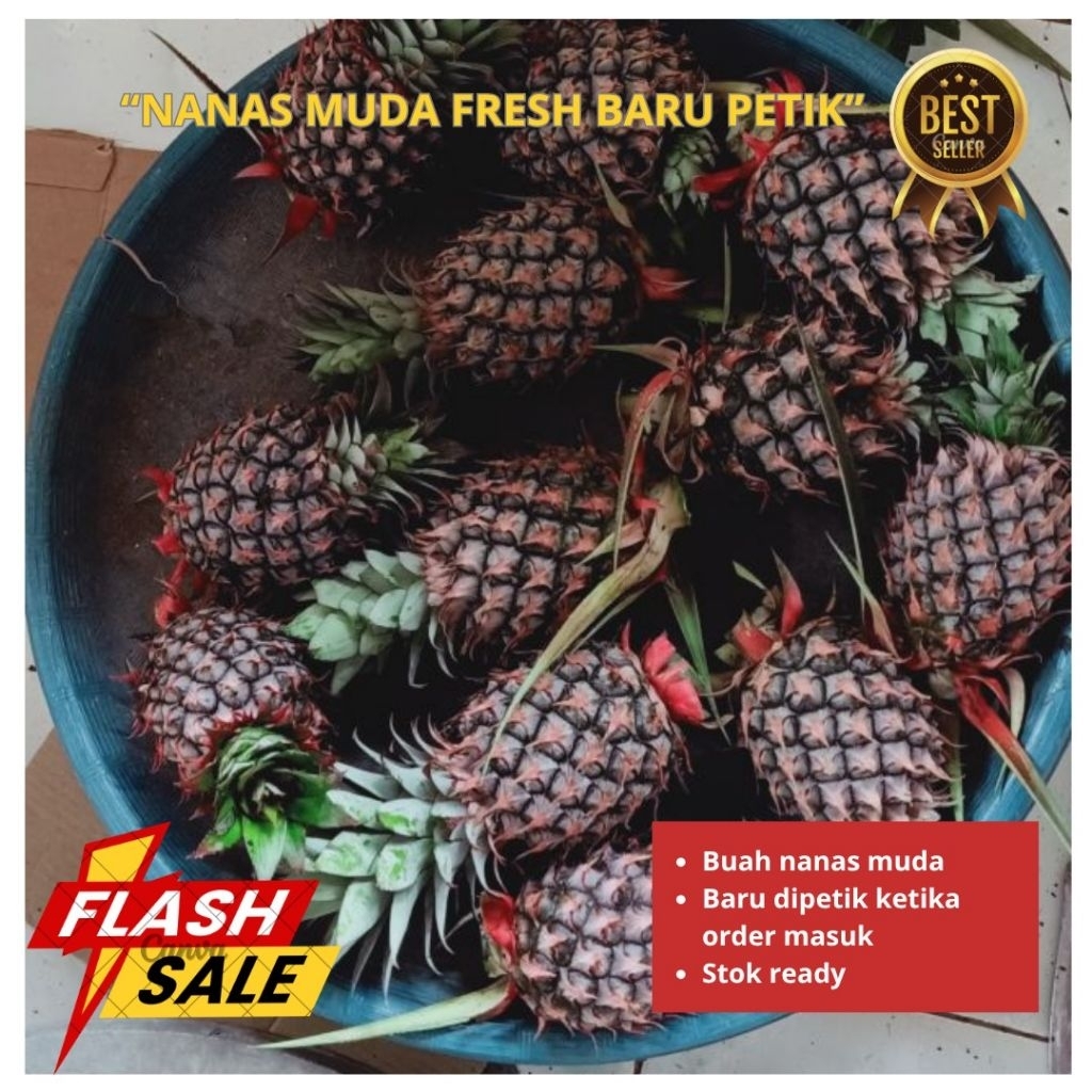 

Nanas Muda Fresh-Buah Nanas Muda