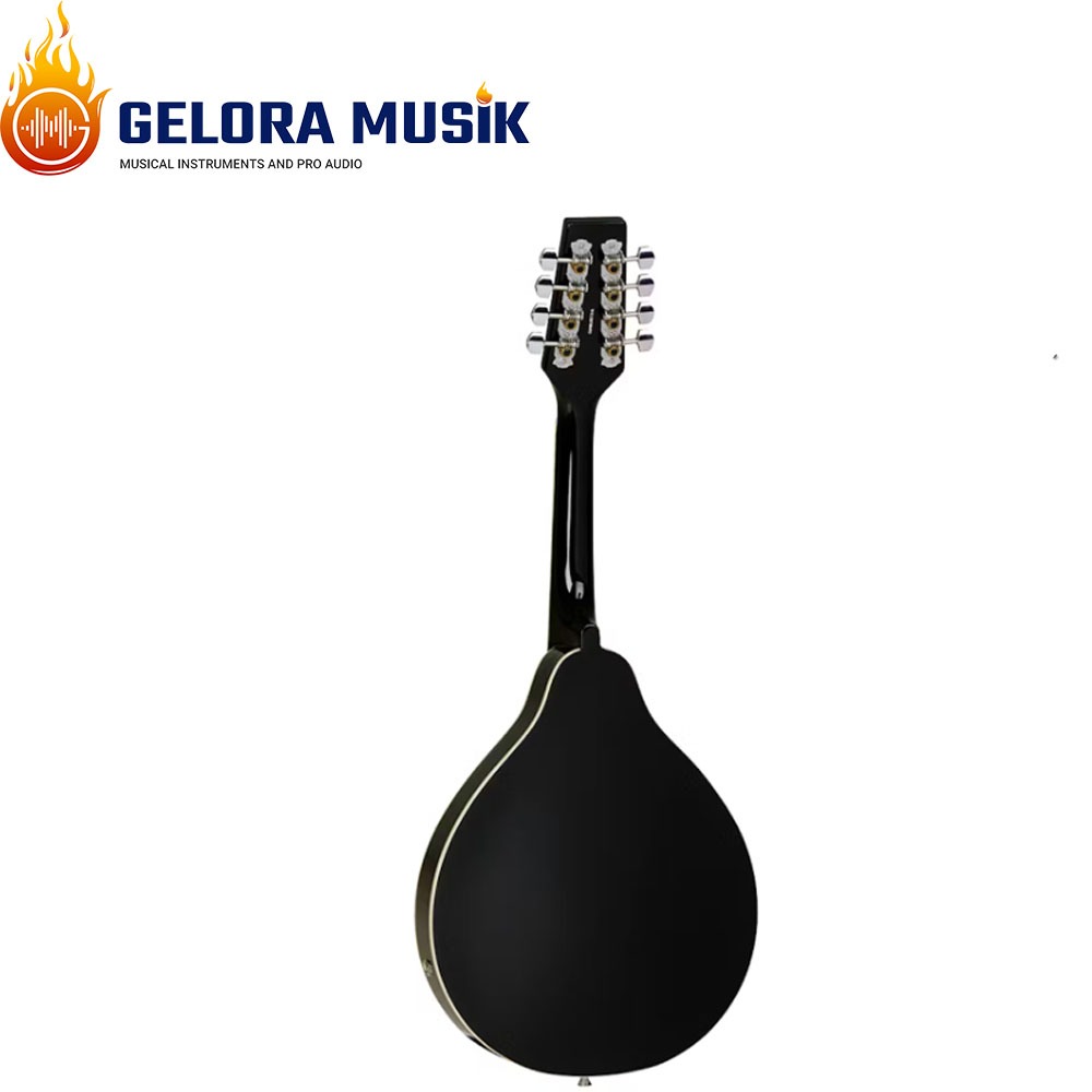 NEW  Mandolin Elektrik Tanglewood TWMTBKPE