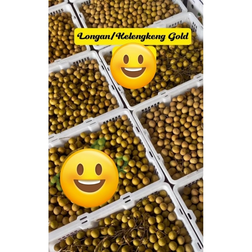 

longan gold / kelengkeng gold berat 500gr dan 1kg