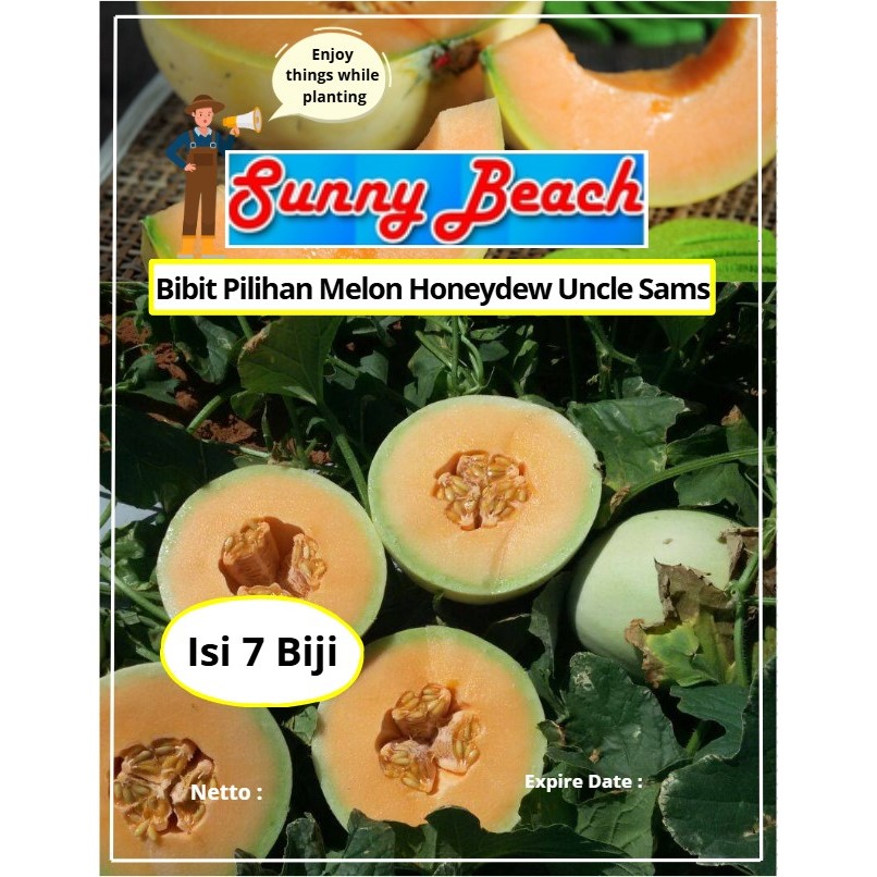Bibit Pilihan Melon Honeydew Uncle Sams | Biji Benih Melon Honeydew Uncle Sams  | Melon