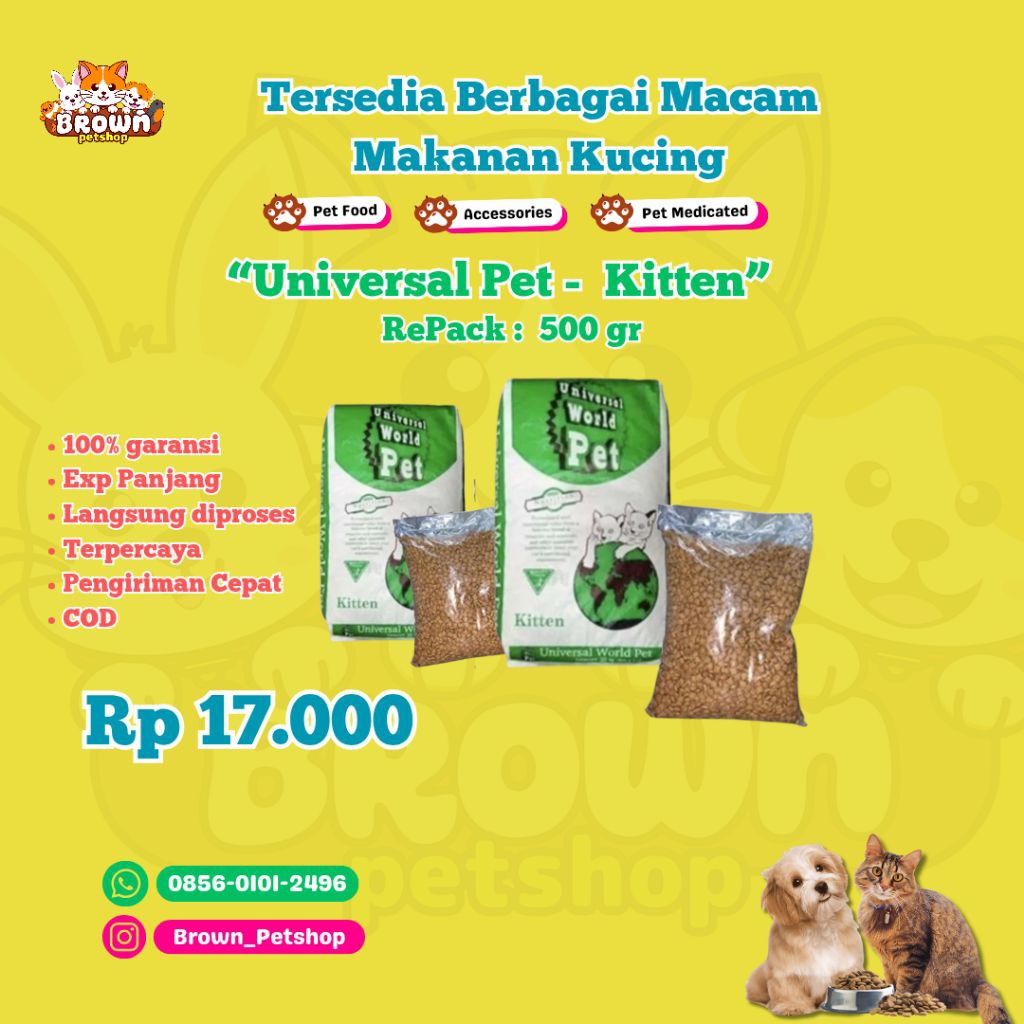 Universal Kitten