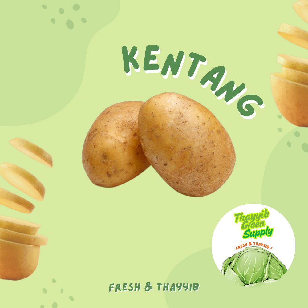

KENTANG DIENG BESAR 500 GR - THAYYIB GREEN SUPPLY