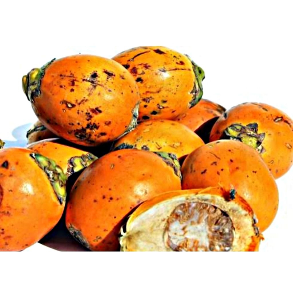 

buah pinang(buah jambe) isi 3