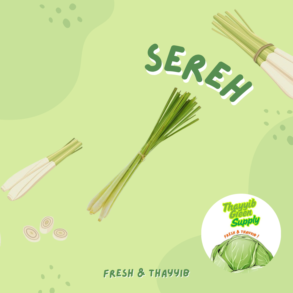 

SEREH SEGAR 1 IKAT / SERAI FRESH - THAYYIB GREEN SUPPLY