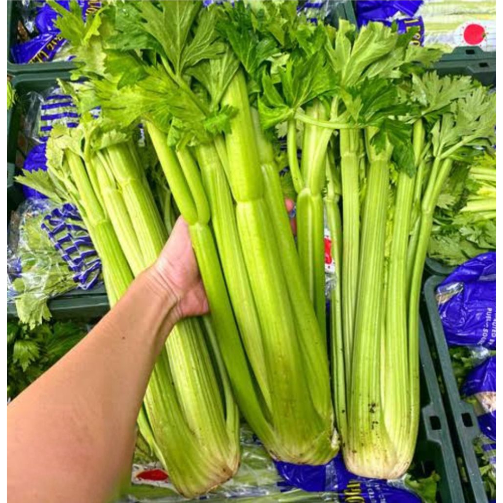 

Celery Stick/Seledri Stik Import 1kg