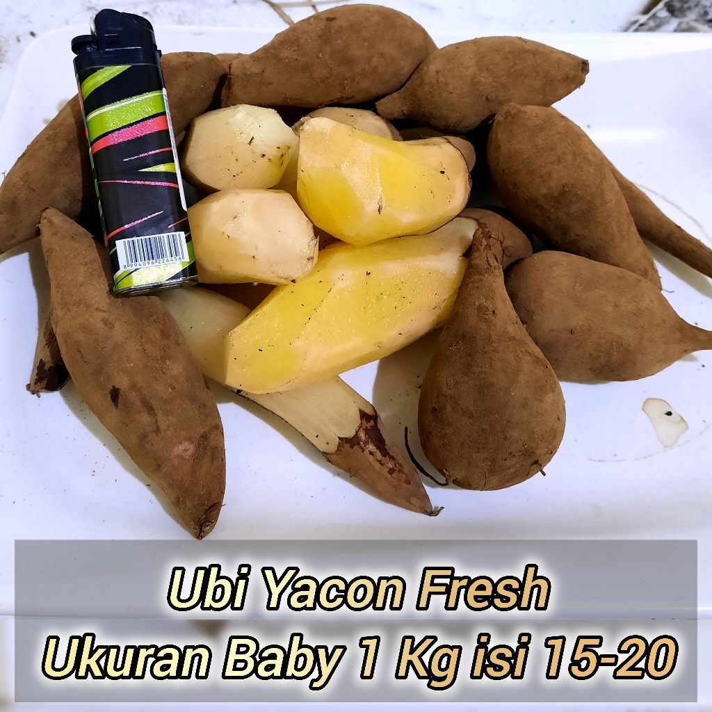 

ubi yacon murah manis fresh ,ukuran kecil 1 kg isi 15-20