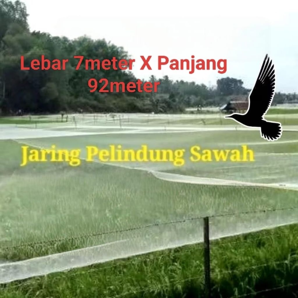 JARING BURUNG SAWAH JARING BURUNG KECIL JARING PENGAMAN PADI