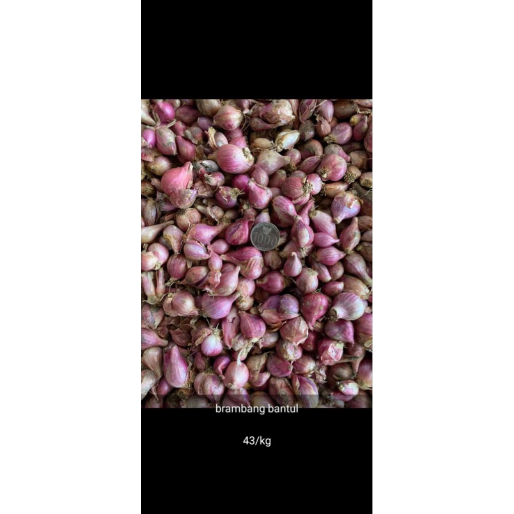 

murah bawang merah kemasan 500gr