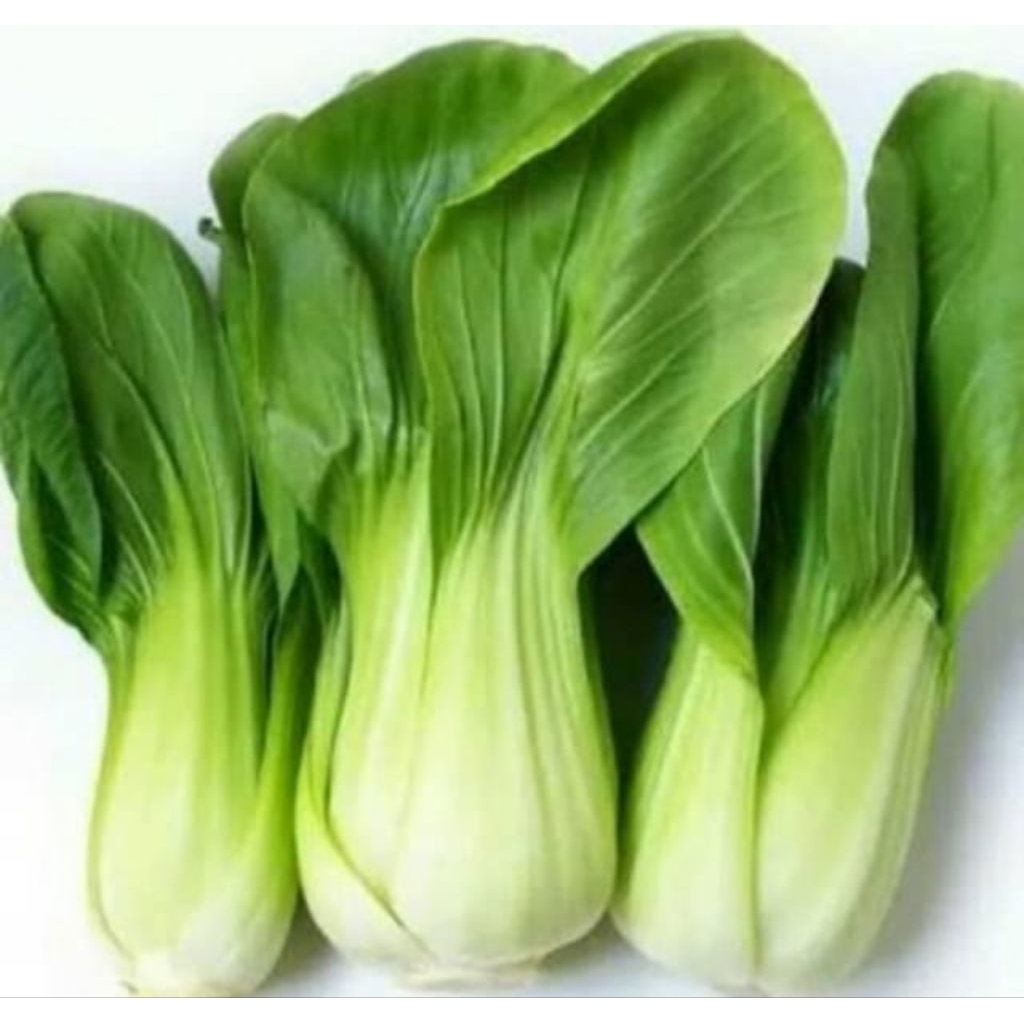 

pakcoy / sayur pakcoy