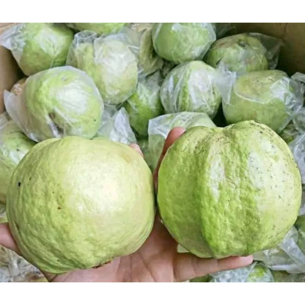 

jambu kristal fress 1kg