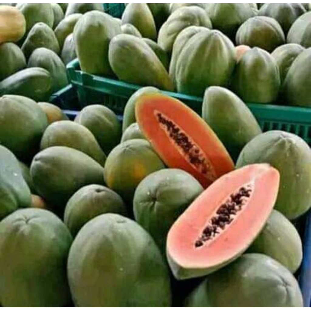 

pepaya kalifornia 1buah