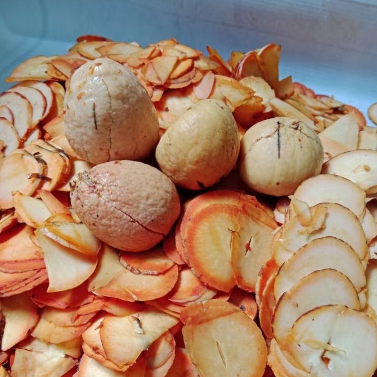 

Herbal Berkhasiat Biji alpukat kering