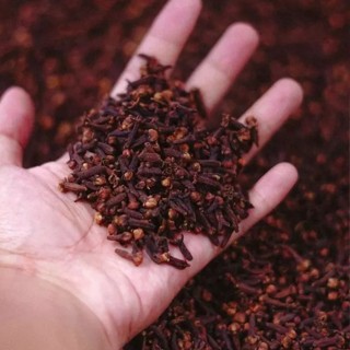 

Cengkeh Kering Asli – Wangi Kuat, Kualitas Premium Asli Cianjur