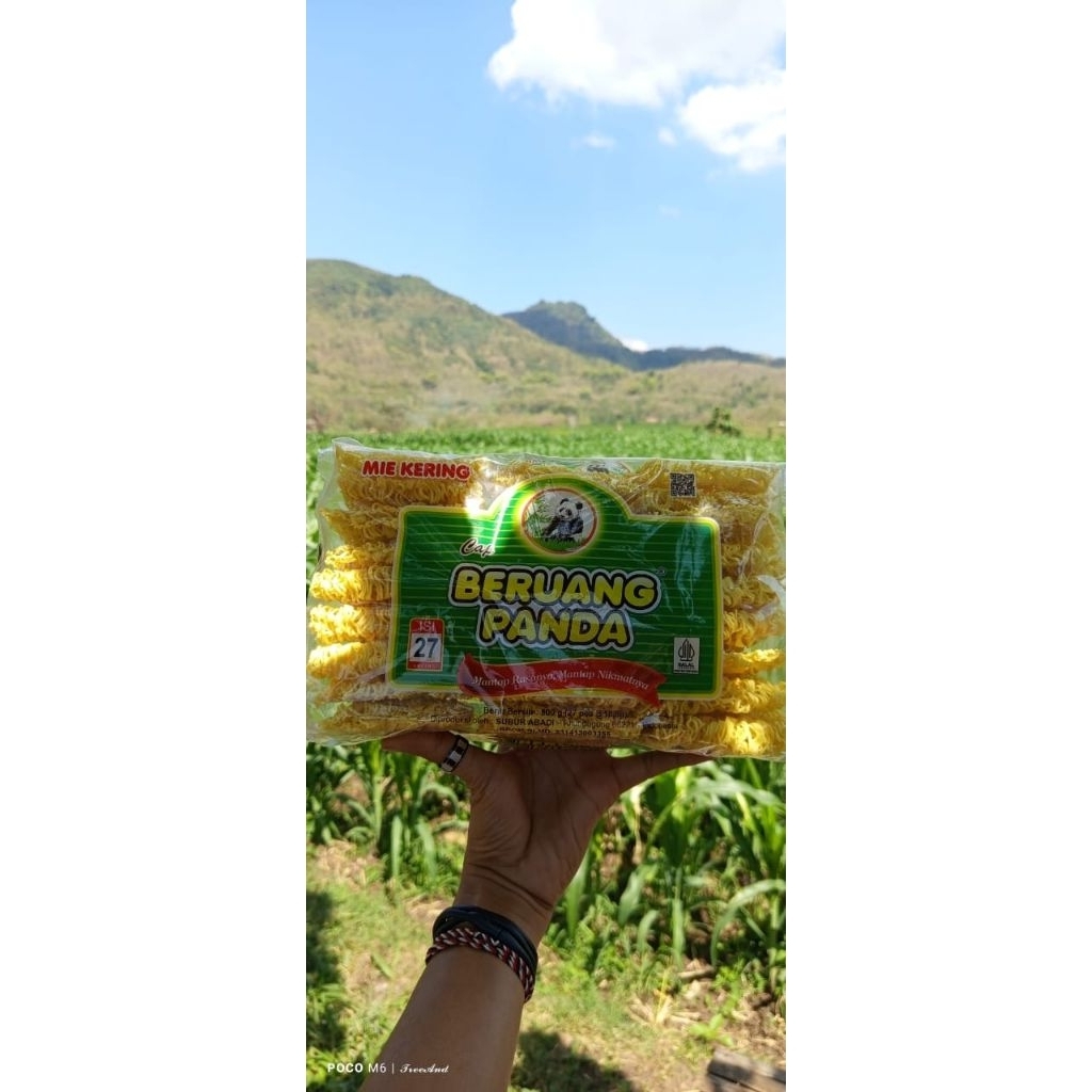 

mie kering cap beruang panda