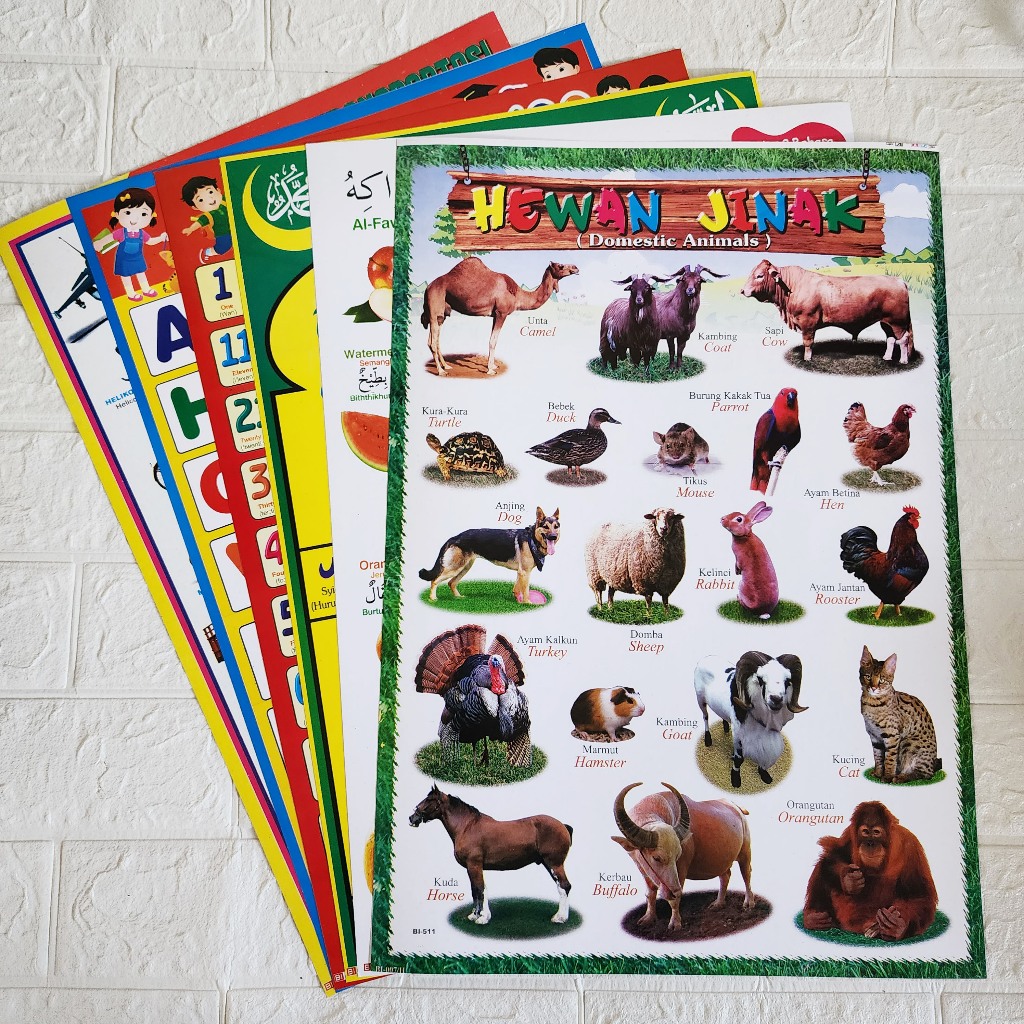 PAKET 6 LEMBAR POSTER DINDING/POSTER EDUKASI ANAK/POSTER ISLAMI/POSTER BUAH DAN SAYUR LENGKAP