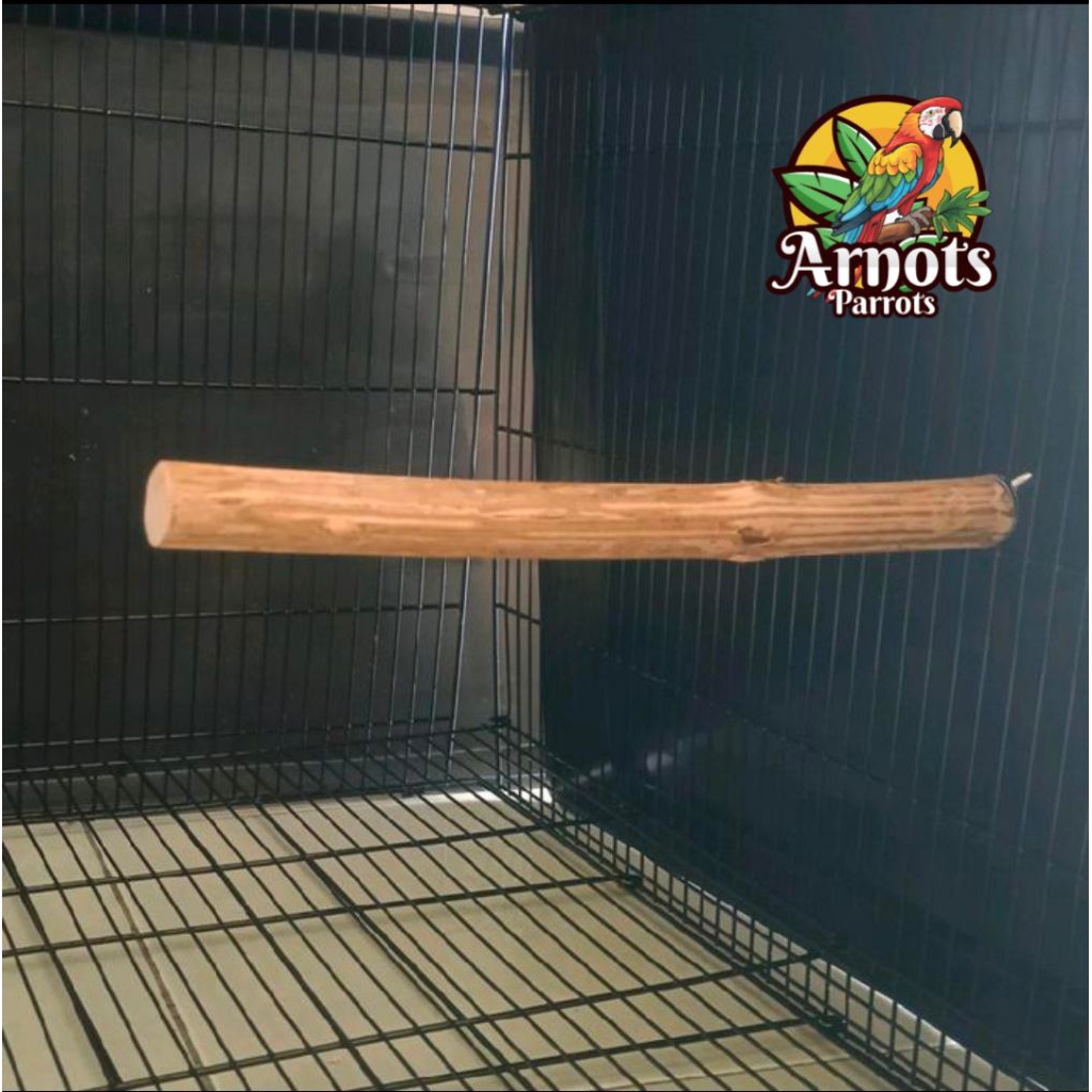 TANGKRINGAN KAYU KOPI UNTUK BURUNG PARROT