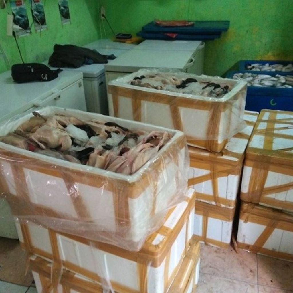 

Bebek Lokal Frozen, berat per ekor kurang lebih 1kg-1,3kg