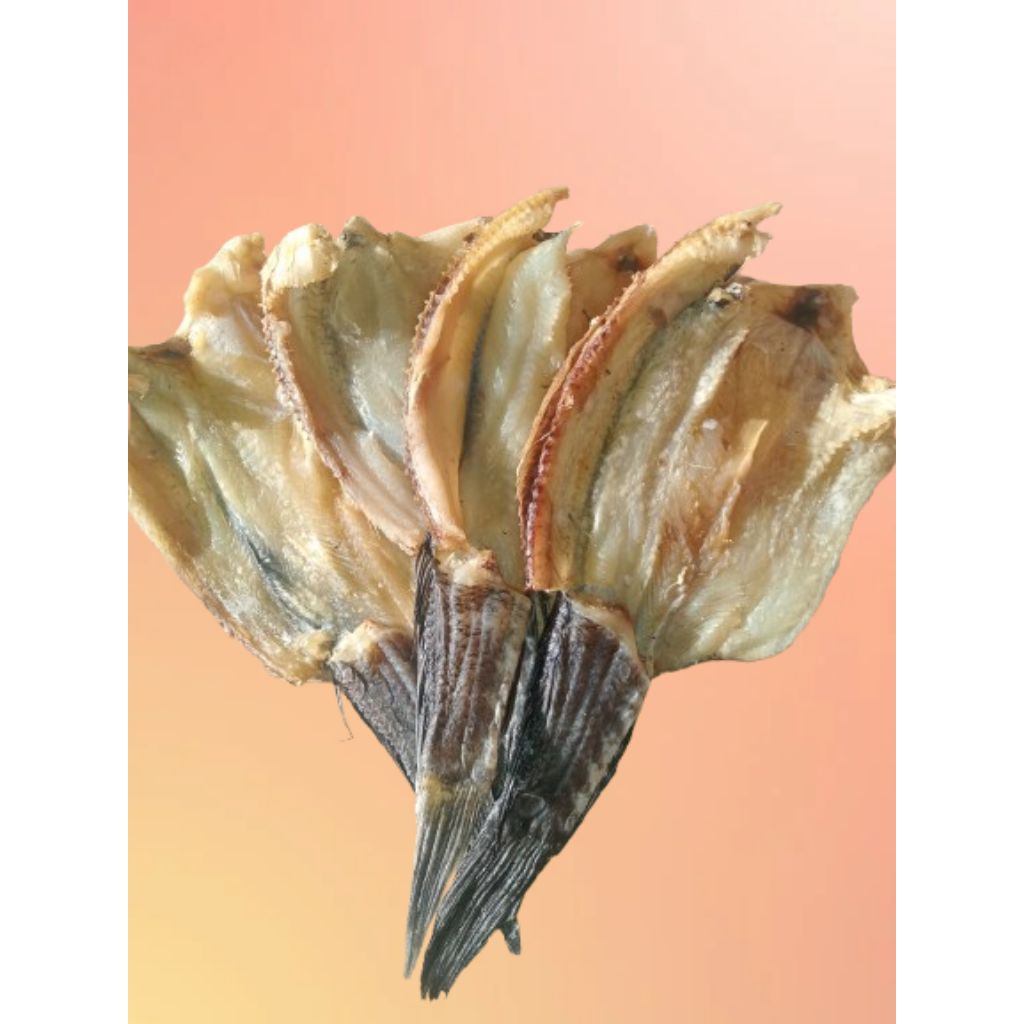 

[COD] IKAN ASIN GABUS RAWA KERING TOTAL/GABUS BELAH SIZE BESAR PILIHAN [ 1 KG ] [ 500 GR ] [ 250 GR ] QUALITY SUPER BERSIH DAN HIGIENIS